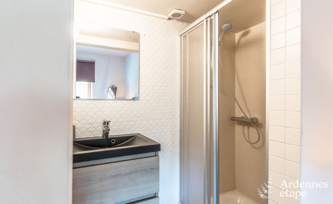 Villa de luxe au c�ur de Houffalize : maison de vacances pour 24 personnes avec sauna, jacuzzi et salle de jeux en Ardenne