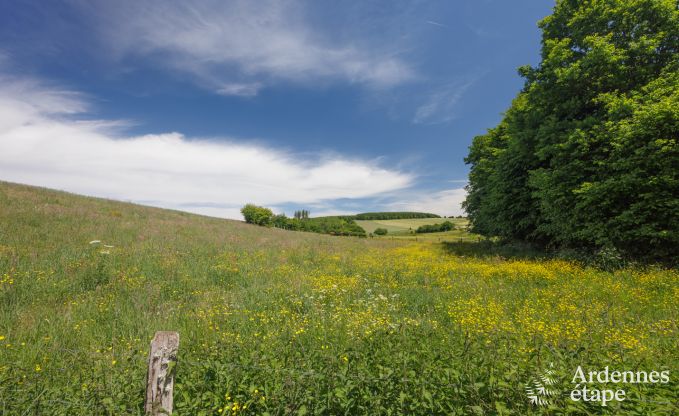 Villa de Luxe � Houffalize pour 18 personnes en Ardenne