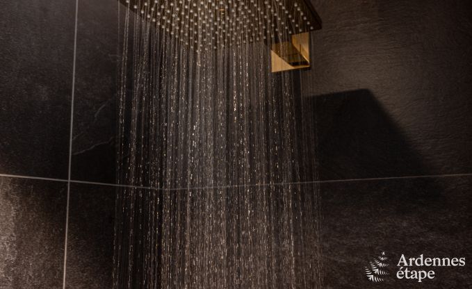 Villa de Luxe � Houffalize pour 10/12 personnes en Ardenne