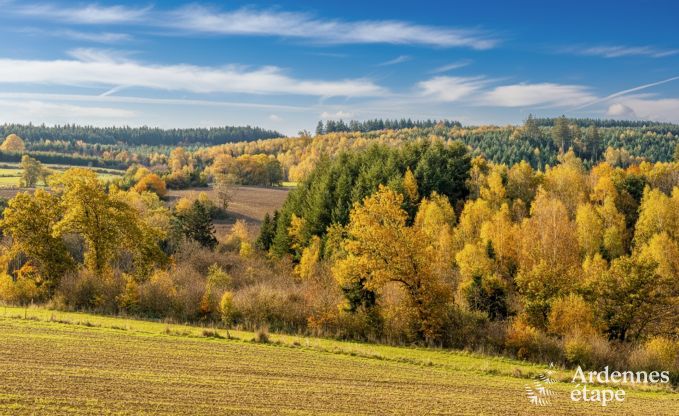 Villa de luxe  Houffalize : hbergement pour 22 personnes avec piscine, sauna et jardin en Ardenne
