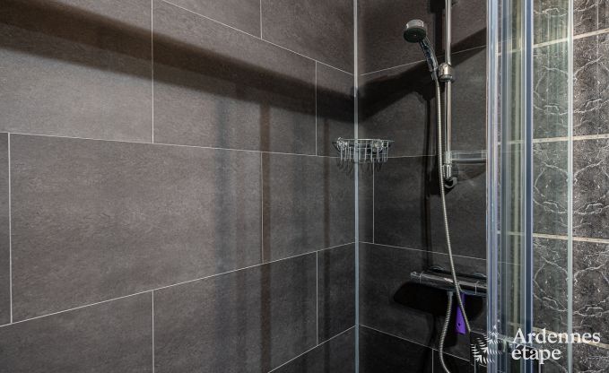 Maison de vacances  Houffalize pour 11 personnes en Ardenne