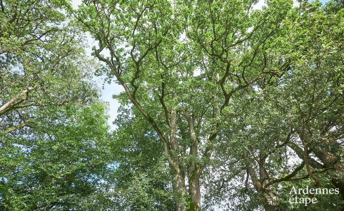 Ferme rnove  Houffalize, Ardenne