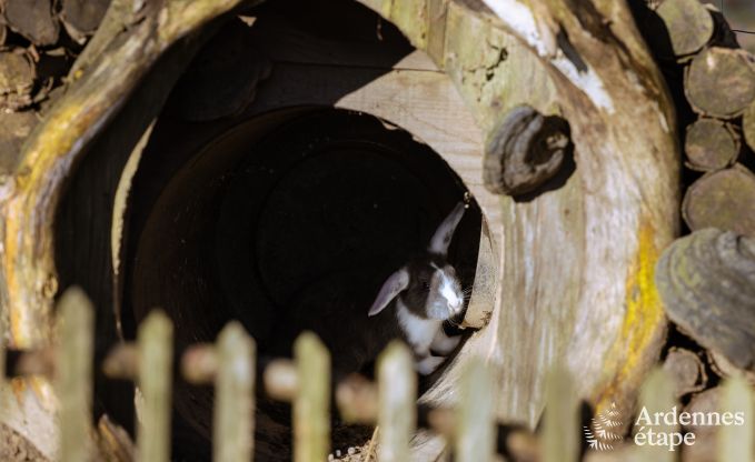 Maison de vacances � Houffalize pour 9 personnes en Ardenne