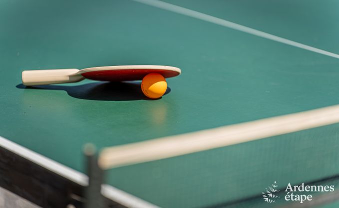 Maison de vacances pour 9 personnes  Wanlin avec 4 chambres et jardin cltur