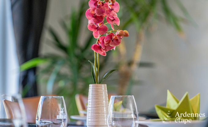 Maison de vacances pour 9 personnes  Wanlin avec 4 chambres et jardin cltur