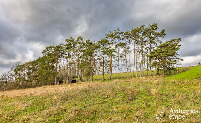 Maison de vacances isol�e avec piscine � Houyet, Ardenne