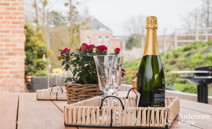 Maison de vacances confortable  ct de la ferme  Houyet, Ardenne