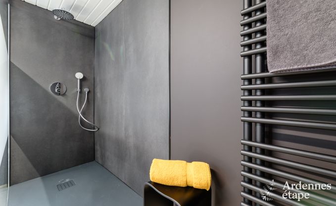 Maison de vacances confortable  ct de la ferme  Houyet, Ardenne