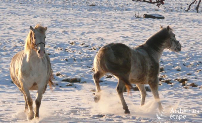 Maison de vacances � Jalhay (Spa) pour 9 personnes en Ardenne