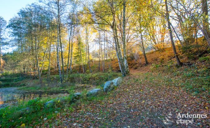 Villa de Luxe  Jalhay (Spa) pour 8/9 personnes en Ardenne
