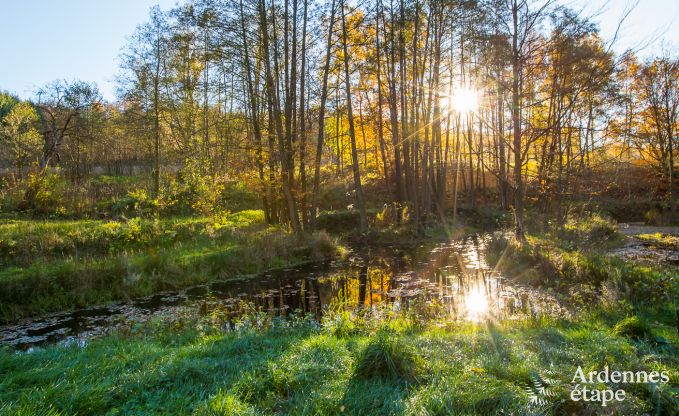 Villa de Luxe  Jalhay (Spa) pour 8/9 personnes en Ardenne