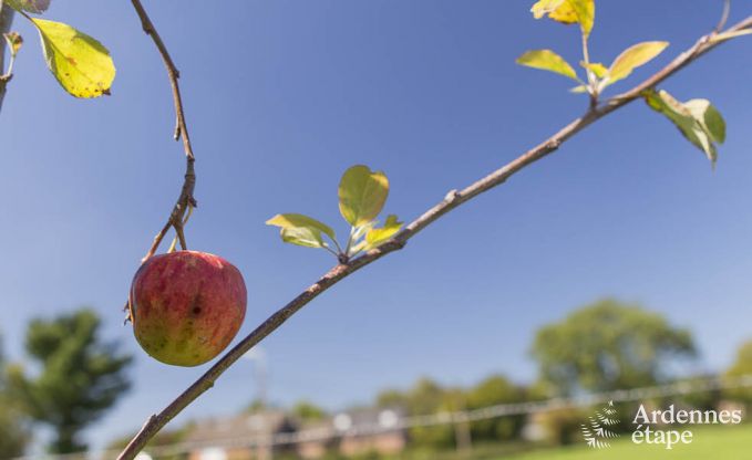 Maison de vacances � Jalhay pour 6 personnes en Ardenne