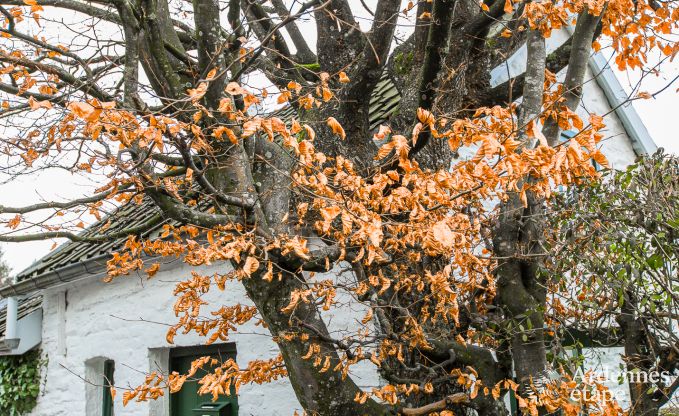Maison de vacances  Jalhay pour 2 personnes en Ardenne