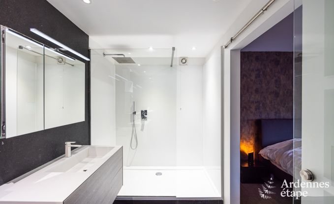 Vaste villa de luxe pour 14 personnes � Jalhay, Hautes Fagnes