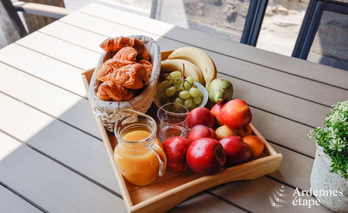 Villa de Luxe � Jalhay pour 12/14 personnes en Ardenne