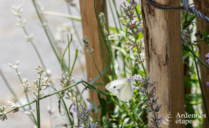 Villa de Luxe � Jalhay pour 12/14 personnes en Ardenne