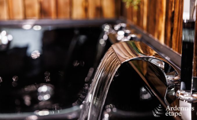 Villa de Luxe � Jalhay pour 12/14 personnes en Ardenne