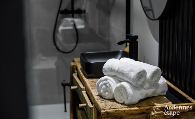 Villa de Luxe � Jalhay pour 12/14 personnes en Ardenne