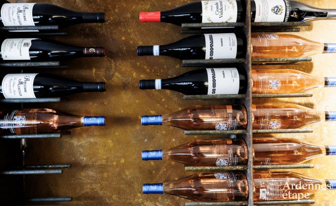 Villa de Luxe � Jalhay pour 12/14 personnes en Ardenne