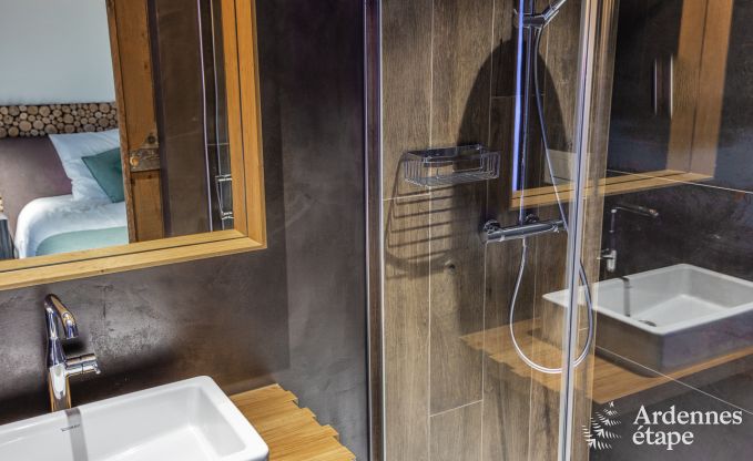 Villa de Luxe � Jalhay pour 14 personnes en Ardenne