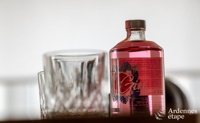 Villa de Luxe � Jalhay pour 14 personnes en Ardenne