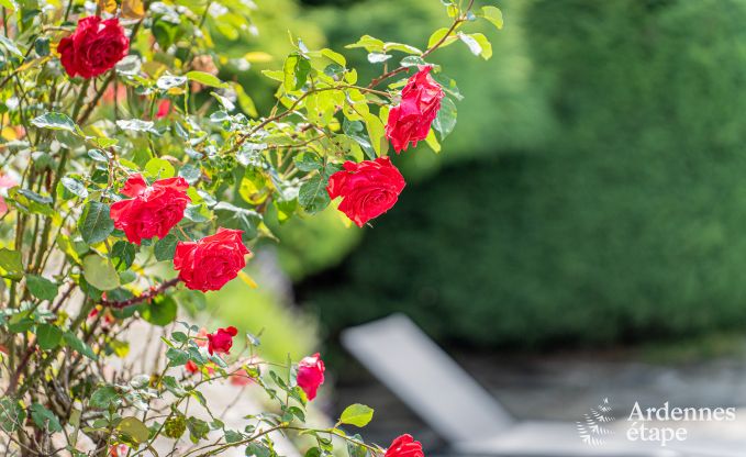 Villa de luxe avec piscine � Jalhay, Hautes Fagnes