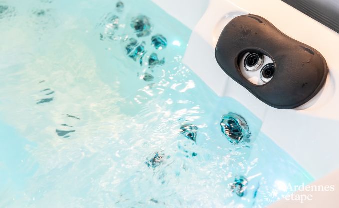 Maison de vacances de luxe  Jalhay pour 12 personnes avec jacuzzi, salle de jeux et jardin priv