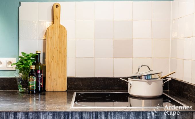 Gite de charme  La Roche (Dochamps) pour 7 personnes en Ardenne