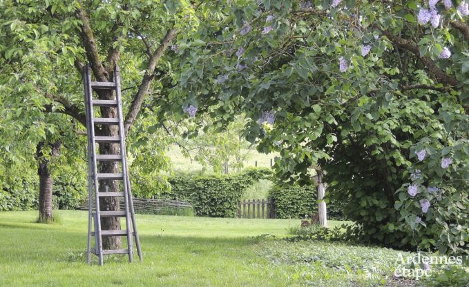 Maison de vacances � La Roche-En-Ardenne pour 4 personnes en Ardenne