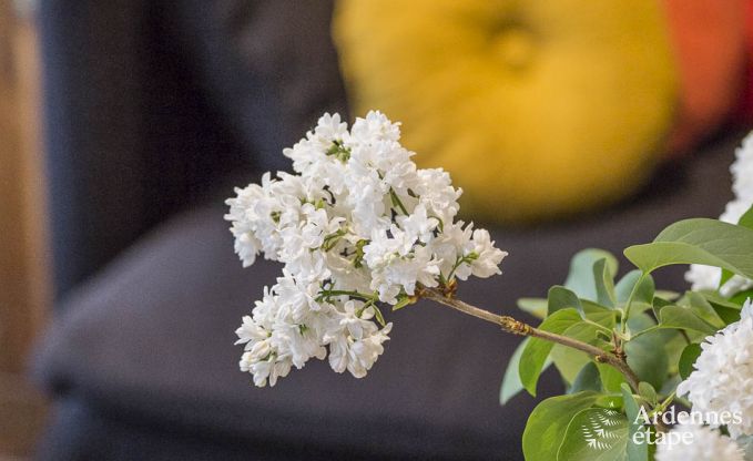 Maison de vacances � La Roche-En-Ardenne pour 4 personnes en Ardenne