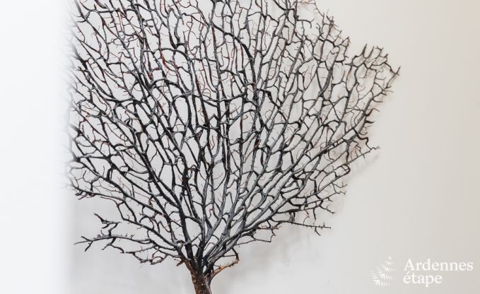 Maison de vacances � La Roche-En-Ardenne pour 15 personnes en Ardenne