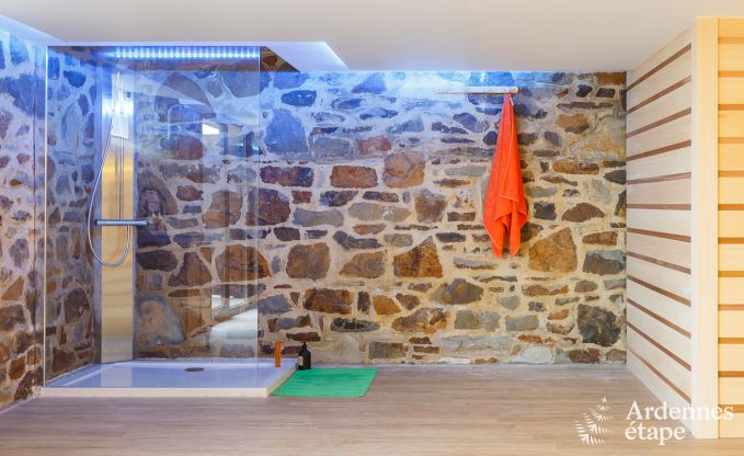 Villa de Luxe � La Roche-En-Ardenne pour 9 personnes en Ardenne