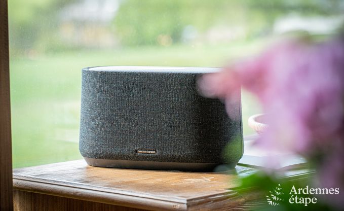 Chalet chien admis  La Roche-en-Ardenne, idal pour les familles