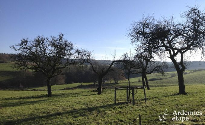 Maison de vacances  La Roche-En-Ardenne pour 9 personnes en Ardenne