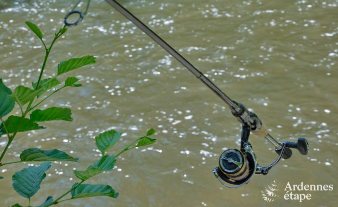 Chalet spacieux au bord de l'eau pour 6 personnes avec poele  pellets, barbecue et terrasse prive  La Roche-en-Ardenne