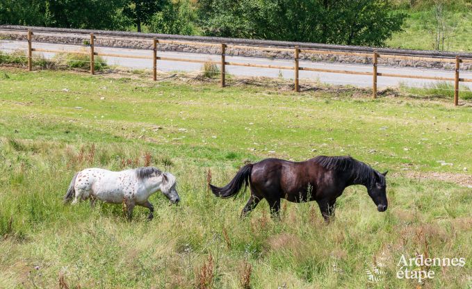 Gite de charme � La-Roche-en-Ardenne pour 6 personnes en Ardenne