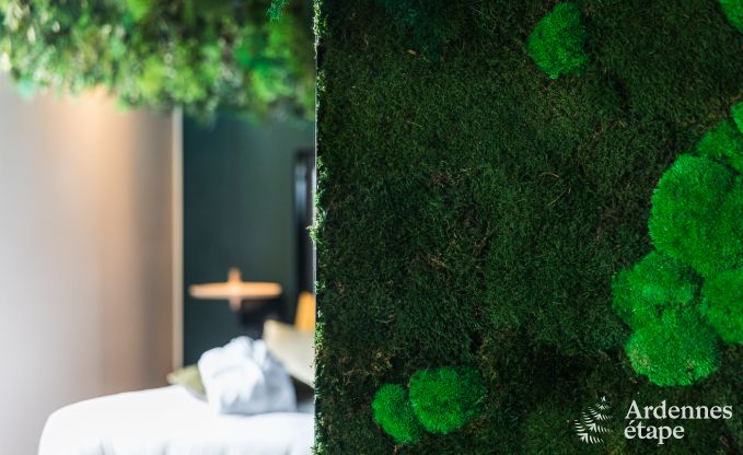 Maison de vacances � La Roche-en-Ardenne pour 2 personnes en Ardenne