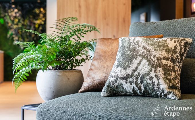 Maison de vacances � La Roche-en-Ardenne pour 2 personnes en Ardenne