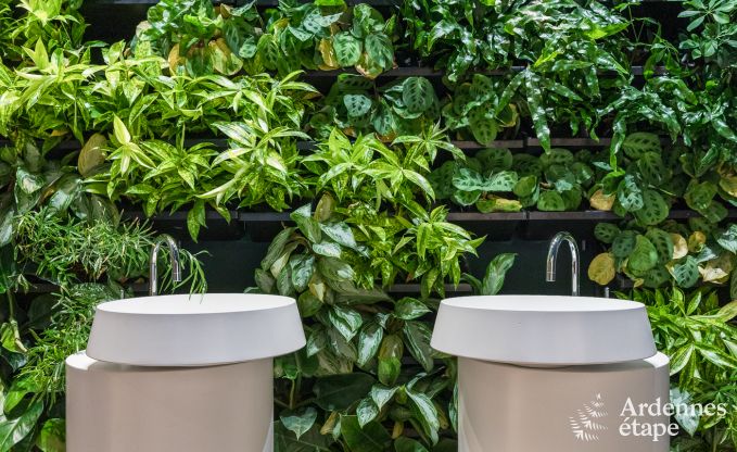 Maison de vacances � La Roche-en-Ardenne pour 2 personnes en Ardenne