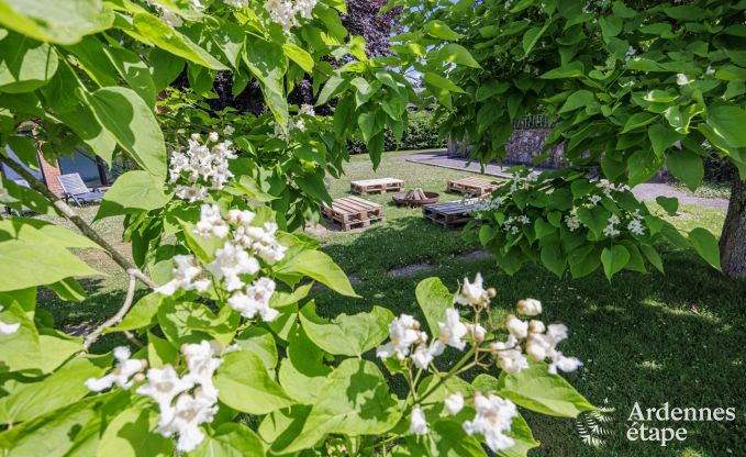 Maison de vacances � La Roche en Ardenne pour 15/16 personnes en Ardenne