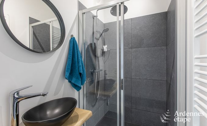 Villa de Luxe � La Roche-en-Ardenne pour 17 personnes en Ardenne