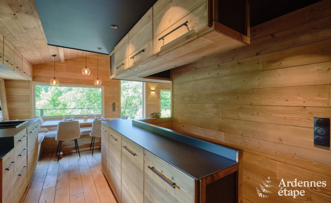 Chalet spacieux au bord de l'eau pour 6 personnes avec poele  pellets, barbecue et terrasse prive  La Roche-en-Ardenne