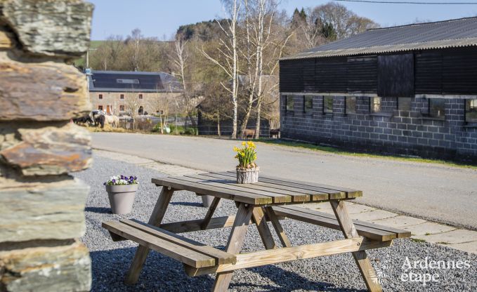 Maison de vacances  La Roche-en-Ardenne pour 4/6 personnes en Ardenne