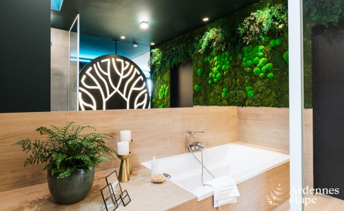 Maison de vacances � La Roche-en-Ardenne pour 2 personnes en Ardenne