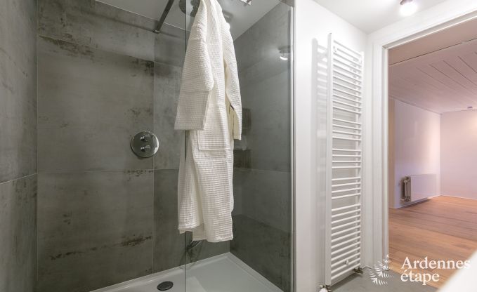 Maison de vacances  La Roche-en-Ardenne pour 6/8 personnes en Ardenne