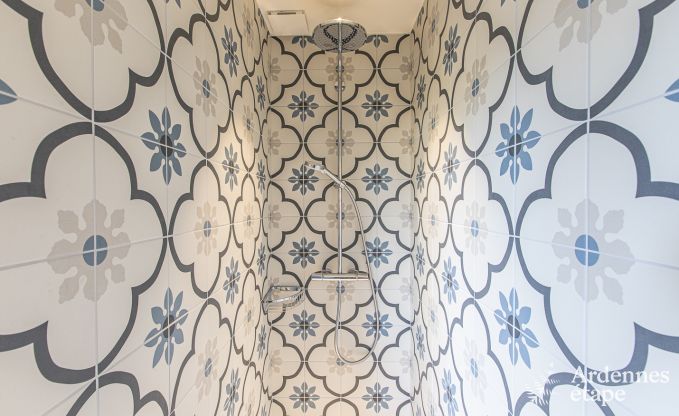 Villa de Luxe pour 15 personnes  Rendeux en Ardenne