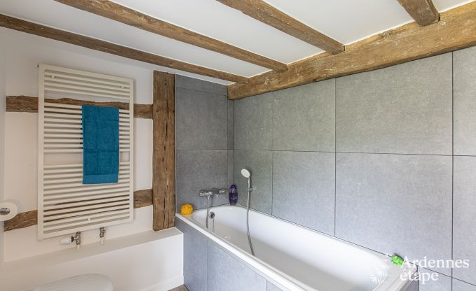 Villa de Luxe  La Roche-en-Ardenne pour 17 personnes en Ardenne