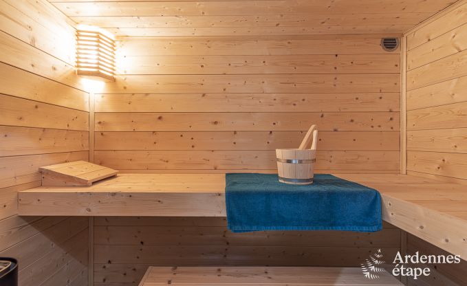 Villa de Luxe  La Roche-en-Ardenne pour 17 personnes en Ardenne