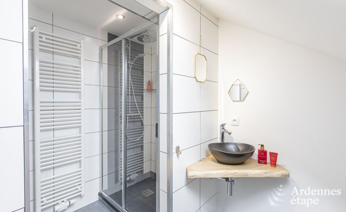 Villa de Luxe  La Roche-en-Ardenne pour 17 personnes en Ardenne