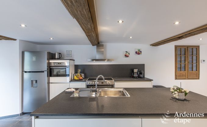 Villa de Luxe  La Roche-en-Ardenne pour 17 personnes en Ardenne